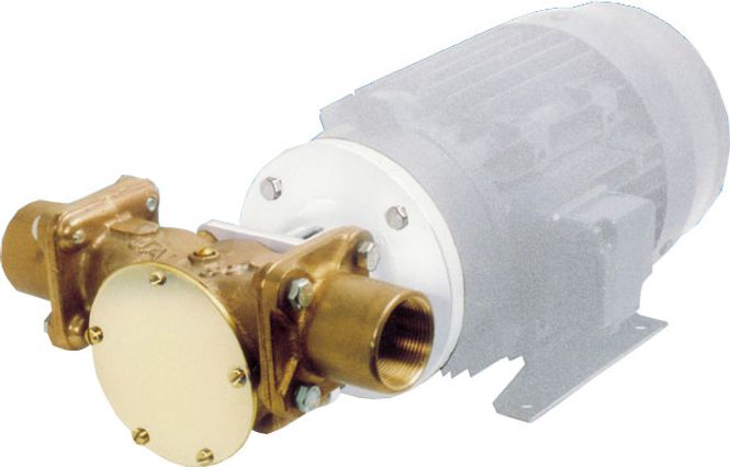 Hovedbilde Bronsepumpe HK 200 FLG NE