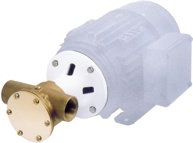 Hovedbilde Jabsco Impellerpumpe for 220V